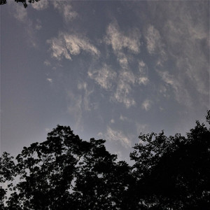 ブロワ城の問答