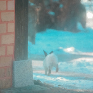 그 애는 바보같아