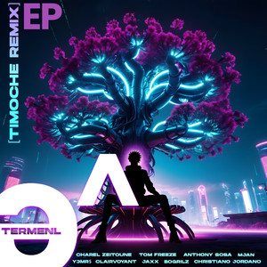 Timoche (Clairvoyant Remix)