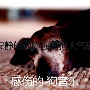 温和可爱的狗梦想