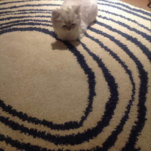 노트북 위는 따뜻해 (Sped Up)