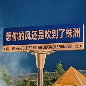 那些花儿(清唱)