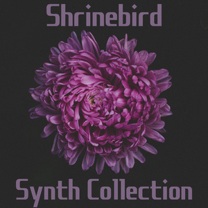 Rasp (Alternative Version)