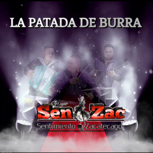 LA PATADA DE BURRA
