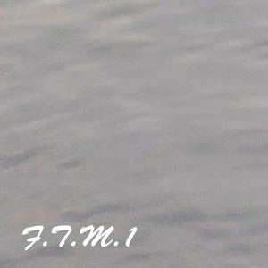 F.T.M.1