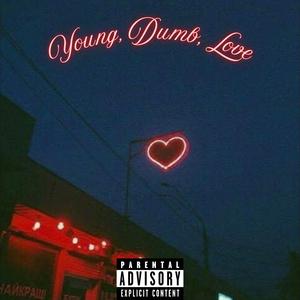 Young, Dumb, Love