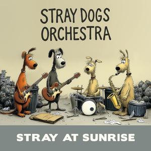 Collar and Cufflinks