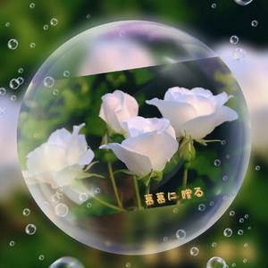 自然体呼吸心法