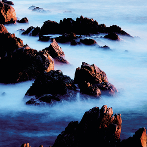 String Quintet in E Major, Op. 11 No. 5, G. 275:III. Minuetto