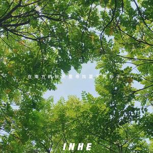 我在南方的秋天里找寻夏天的影子 伴奏