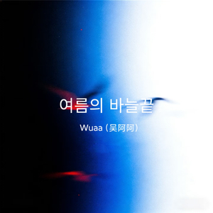 여름의 바늘끝