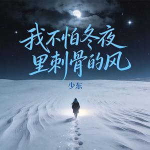 我不怕冬夜里刺骨的风