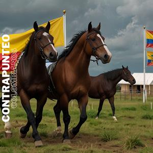 EL POLLO DE MOROTURO Y EL PAPELÓN EN PARIAGUÁN CONTRAPUNTEANDO CON BANDOLA II (En vivo)