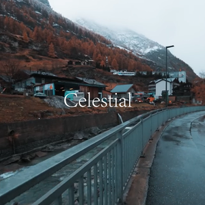 Celestial（Nikyi remix）
