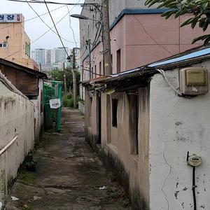 레이브의파도