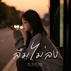 ลืมไม่ลง