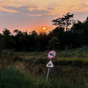 阳光（日落版）