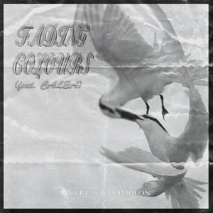 Fading Colours (feat. Calea)