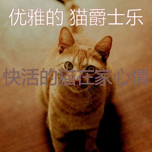 安静的猫在家声音