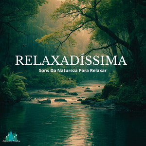 Som de Pássaros, Rio e Chuva (P16)