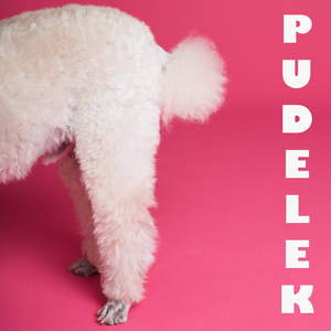 Pudelek