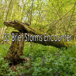 清新寧靜的風暴