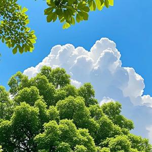 请你不要担心（钢琴）