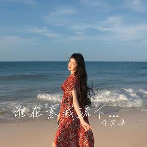 谁在意我流下的泪