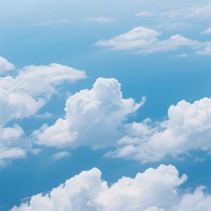 细雨飘零浸心湛