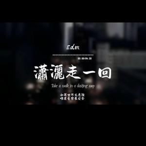 瀟灑走一回(Edm)