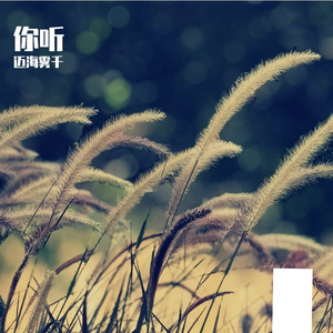 你听 伴奏