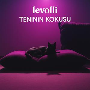 Teninin Kokusu
