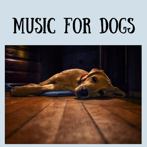 Classical Music For Dogs