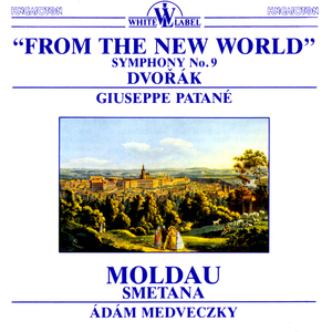 Symphony No. 9 in E Minor, Op. 95, B. 178 "from the New World":I. Adagio - Allegro molto