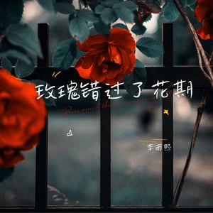 玫瑰错过了花期