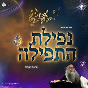 הרב גיא גרידיש נפילת התפילה | טראק מיוחד !
