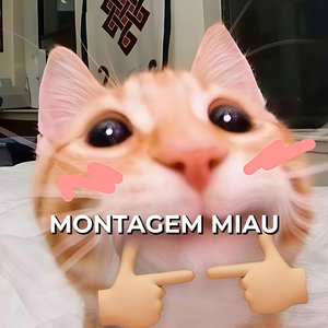 Montaguem Miau