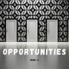 Mind-X - Opportunities