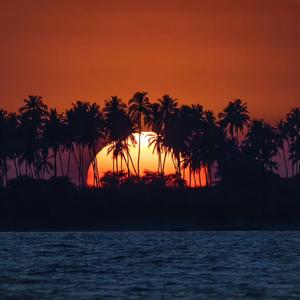 别错过DJ (降调版)