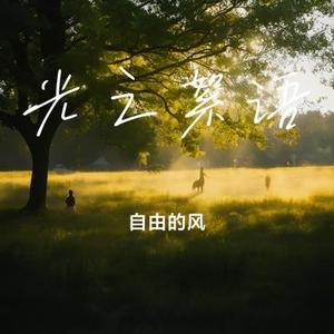 光之絮语