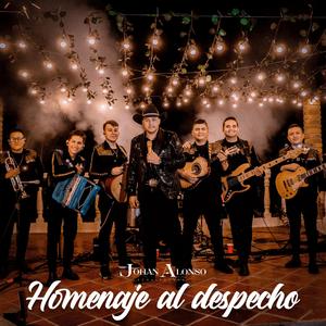 Homenaje Al Despecho (Mi Corazon Esta Solito / Seductora Explotadora Y Algo Más / Un Nuevo Amor)