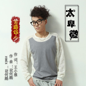 太卑微 (DJ何鹏 Remix)