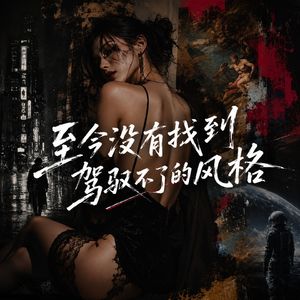 至今没有找到驾驭不了的风格
