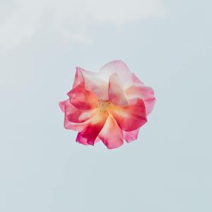 夏天适合想你 RNB FUTURE