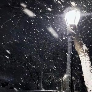 你的背影格外的冷