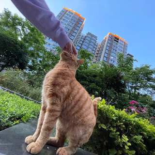 0518早高峰歌单