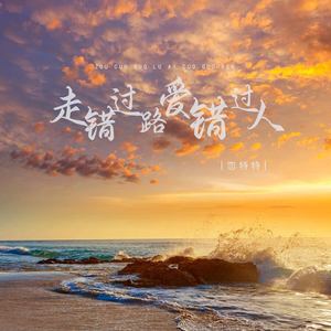 走错过路爱错过人