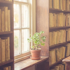 不留名的光(cover)