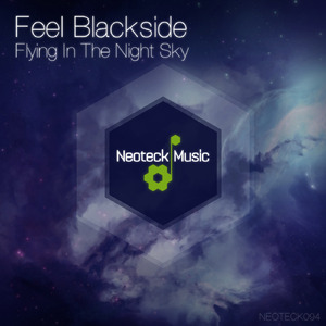 Flying in the Night Sky