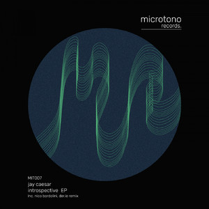 Introspective (Original Mix)